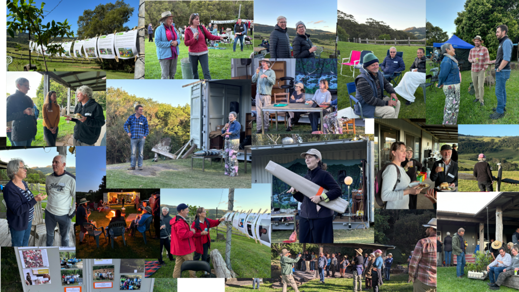 Collage of people at an outdoor event