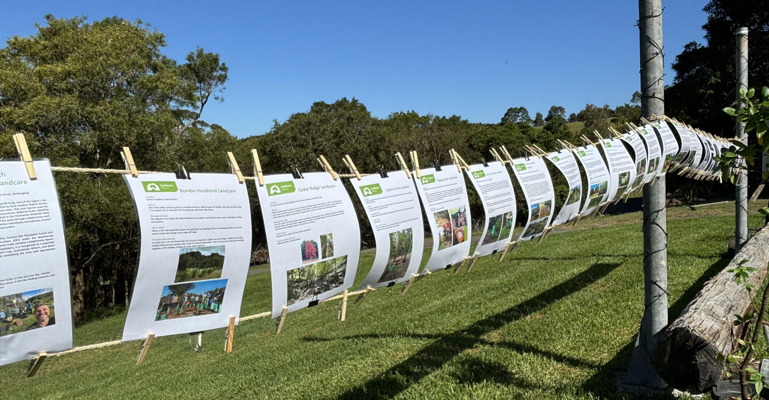 Read more about the article How we celebrated 25 years of Landcare Illawarra!