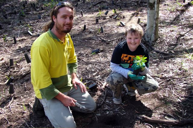 Read more about the article National Tree Planting Day (Blackbutt)