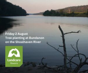 Read more about the article Bundanon Tree Planting 2 August 2024