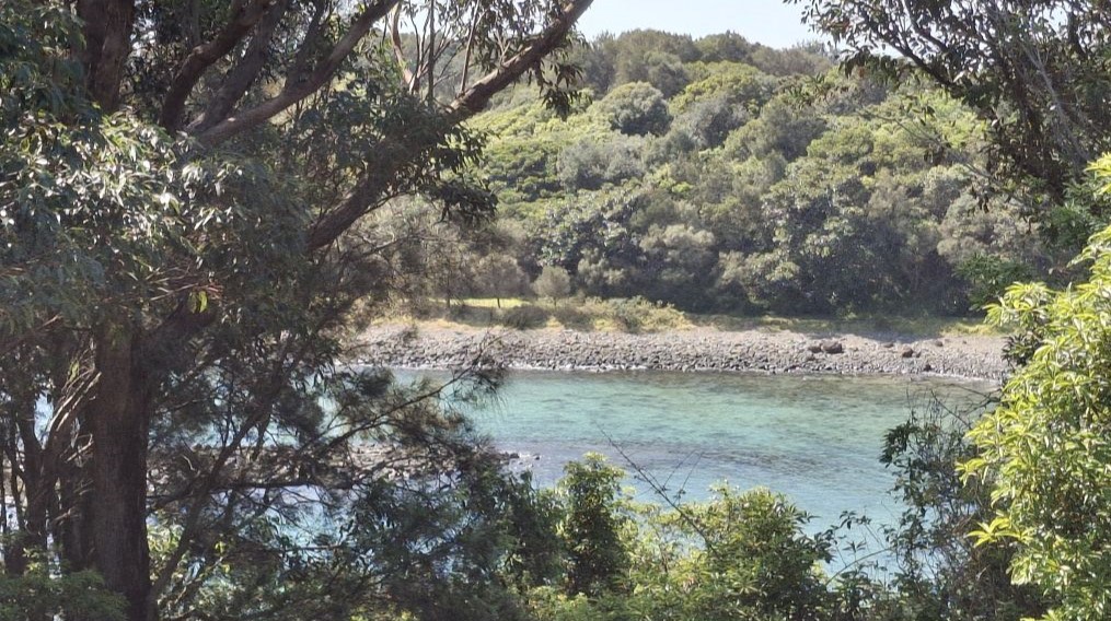 Read more about the article 2024 Picnic for Nature – Bombo Headland