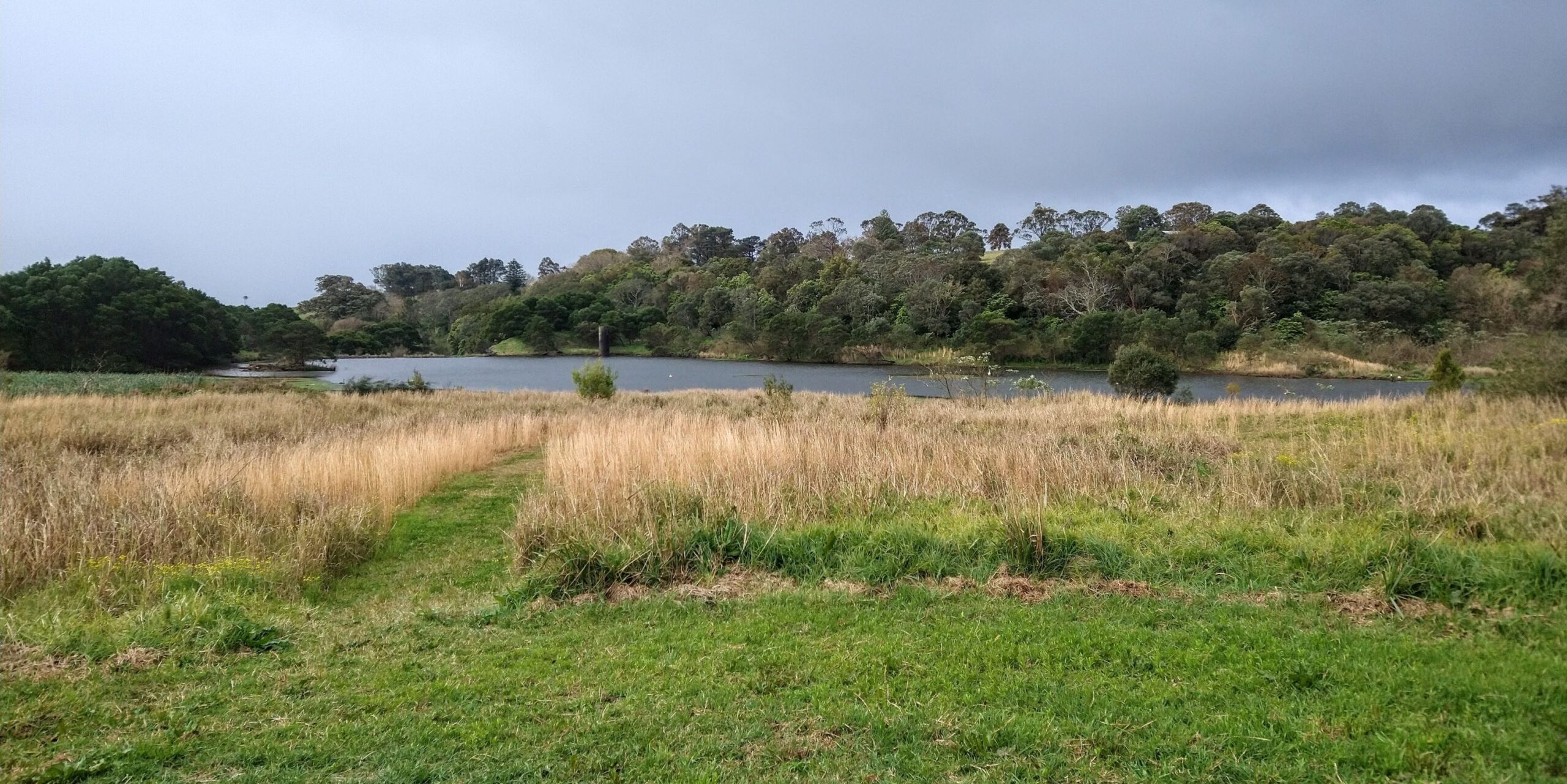 Read more about the article Jerrara Wetlands Community Meeting 2025