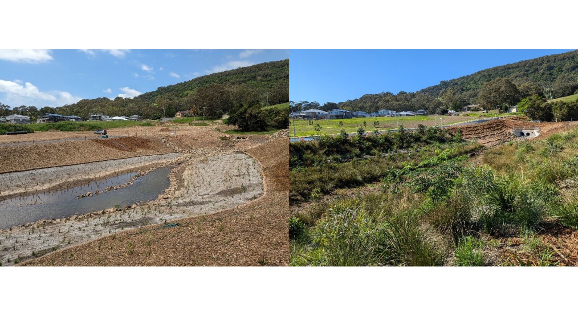 You are currently viewing Landcare Illawarra Nurseries Support Revegetation Project at Albion Park