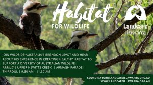 Read more about the article April 7 | Habitat for Wildlife | Upper Hewitts Creek Thirroul